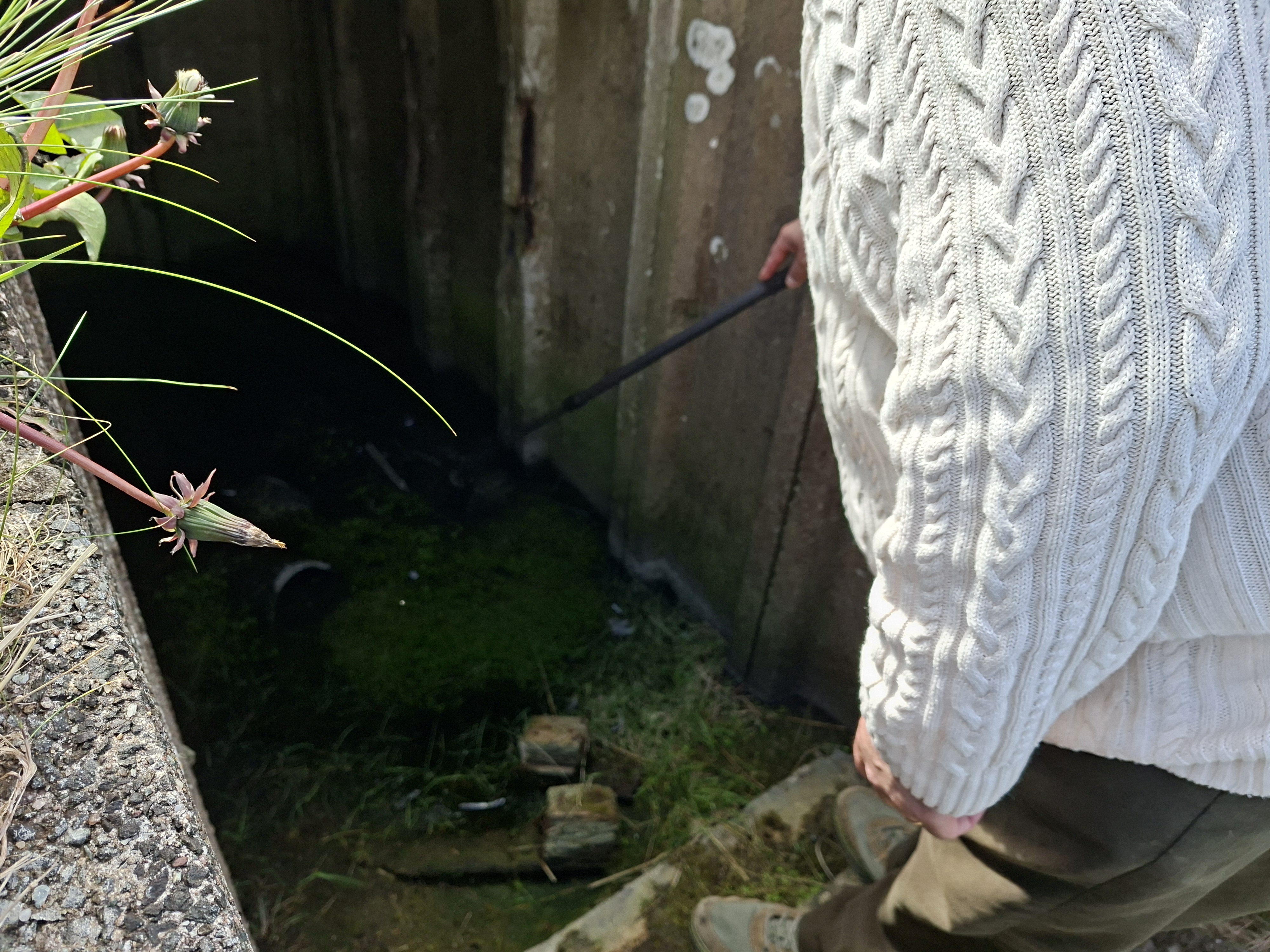 Volunteer rescuing the 1940's whisky bottle from the air raid shelter HMS Tern